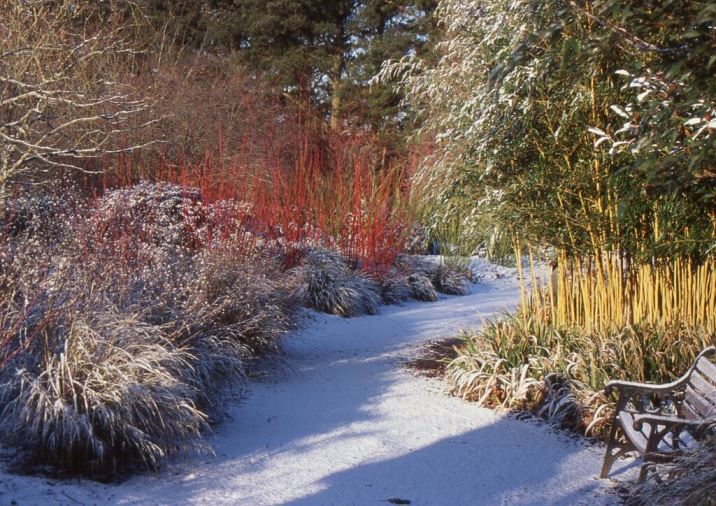 giardino dicembre